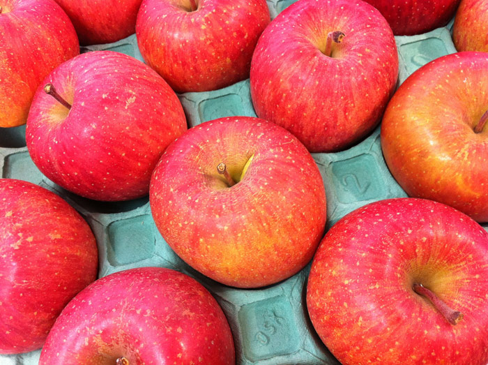 Fuji Apple
