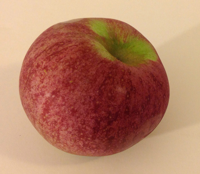 Macoun Apple