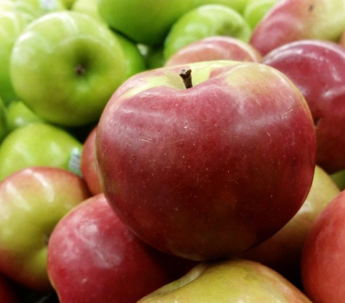 McIntosh Apple